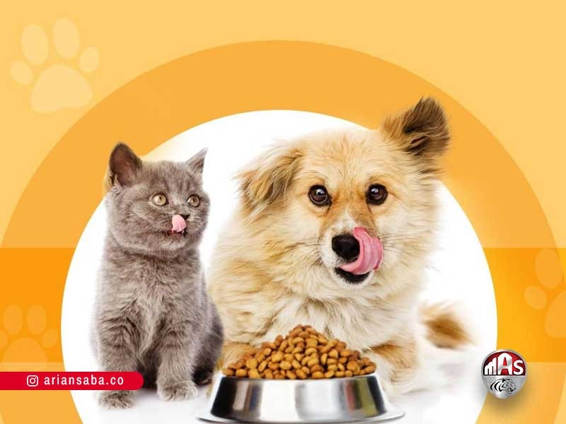 گزارش بازار غذای حیوانات: رفتار مصرف کننده، برندها و قیمت ها